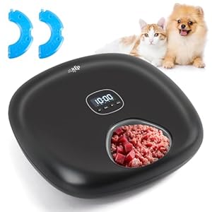 All for Paws Automatischer Katzenfutterautomat Kabellos – für Nass &Trockenfutter mit 2 Kühlakkus, Futterspender für 6 Mahlzeiten mit Programmierbarer Zeitschaltuhr, Niedrige-Batterie-Anzeige, USB