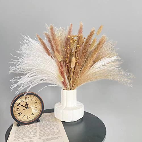 65 Pezzi Erba della Pampas Soffice Erba di Pampa