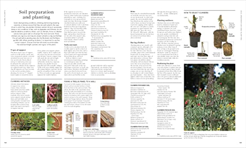Image of RHS Encyclopedia of Gardening New Edition