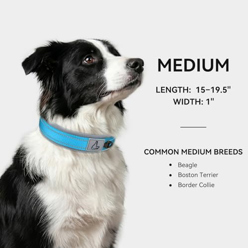 Image of Joytale Dog Collar for Medium Dogs, Neoprene Padded and Adjustable, Reflective Wide Heavy Duty Pet Collars with Durable Metal Belt Buckle for Walking, Sky Blue, M