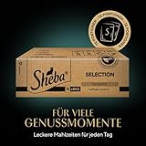 Sheba Katzenfutter Selection in Sauce für ausgewachsene Katzen - 9