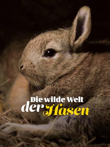 Die verrückte Welt der Kaninchen