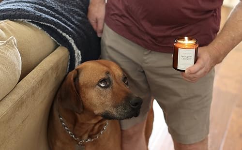All-Natural-Pine-Cypress-Cedarwood-Aromatherapy-Essential-Oil-Candle-Safe-for-People-and-Pets-Made-with-Pure-Sustainable-Organic-Vegan-Coconut-Wax-Allergy-Friendly-Non-Toxic-Zero-Waste