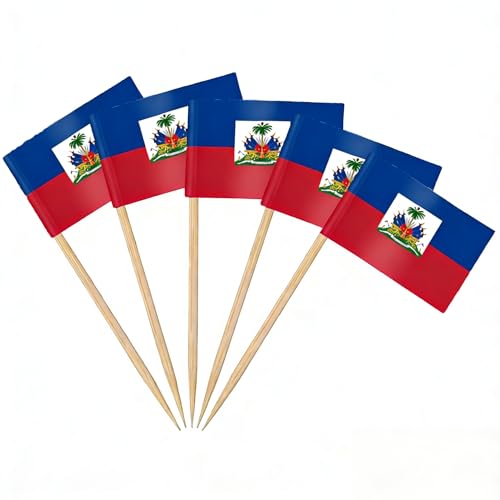AhfuLife Lot de 100/200 drapeaux cure-dents pour fête nationale, sandwich, nourriture, cupcakes, vaisselle, coupe du monde, pub, événement royal (Haïti, 100 pièces)