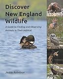 Discover New England Wildlife: A Guide to Finding and Observing Animals in Their Habitat