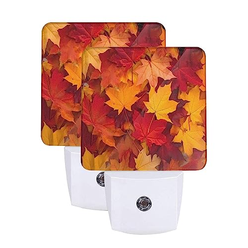 Image of Autumn Leaves Fall LED Plug-in Night Light 2-Pack, Auto Sensor Nightlights Set of 2 for Bedroom Bathroom