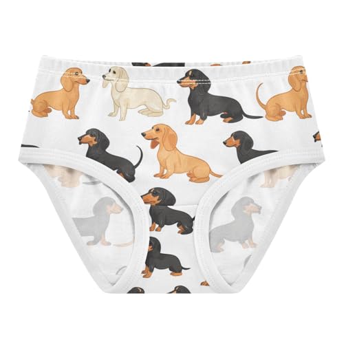 ZZKKO Dachshund Dogs Girls Underwear Toddler Panties for Girls Comfort Brief Size 2-8T