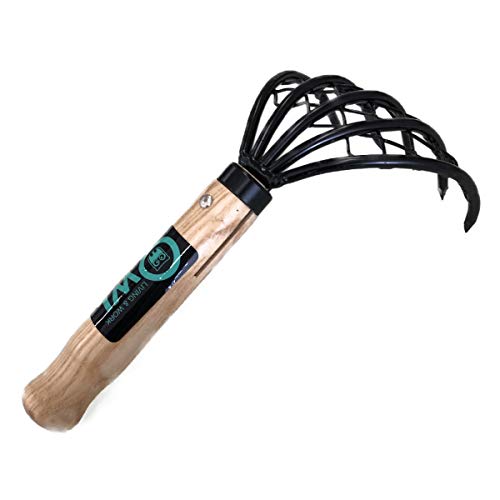 潮干狩り アサリ以外の貝をとってみよう！ しじみ採り（シジミ） 編