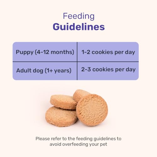 Image of Yummy in My Tummy by HUFT Snooze Time Special Chamomile & Lavender Gluten Free Dog Biscuits - 200 gm (Pack of 2), Calming Treats for All Lifestages | Crunchy & Healthy Snack for All Breeds Dogs