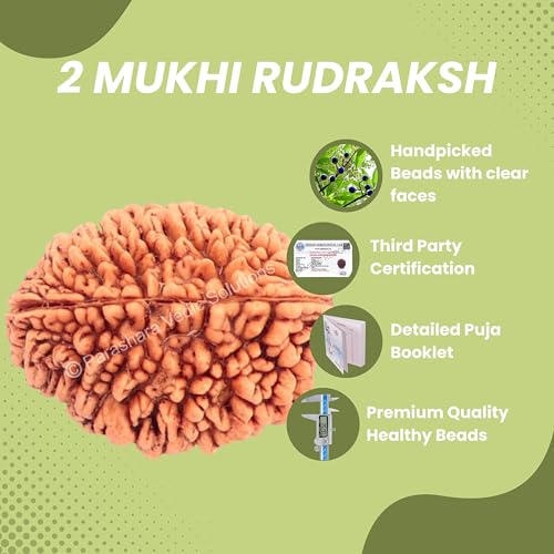 ARKAM Two Mukhi Kaju Rudraksha Certified/Original 2 Mukhi Rudraksh/Natural 2 Faced Rudraksha (Brown) with Certificate and Puja Instructions