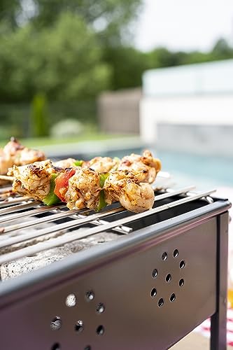 Barbacoa mini de carbón con parrilla inoxidable de 25x20 para camping y exterior 4