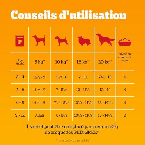 Pedigree Junior Sélection Mixte Sachets fraîcheur en gelée – Nourriture pour chien junior – 4 saveurs différentes – 48 sachets de 100 g – Image 4