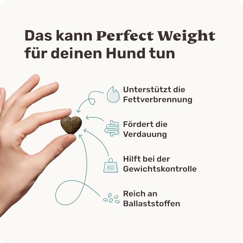 11-in-1 L-Carnitin & Cellulose Snack - Gewichtsmanagement für Hunde - Perfect Weight 270 Snacks (325g) von mammaly - Diätfutter kann beim Abnehmen Hund helfen - Futterzellulose zur Gewichtskontrolle