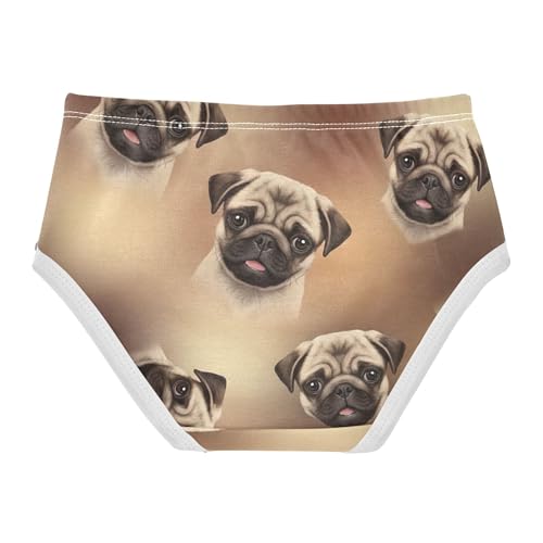 Toddlers Underwear Floral 2t Cotton Panties Little Girl Flower Kids Briefs Undies Cute Pug Puppies Brown2