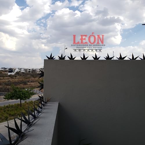 Electricidad, DVD Imagen adicional