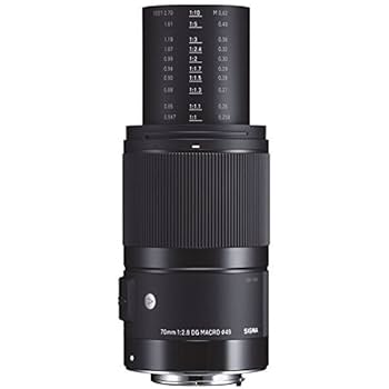 Amazon.com : 70mm F2.8 Art DG Macro : Electronics