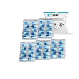 Zylkene 450 mg Kapseln für große Hunde