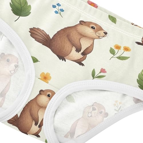 Cute Groundhogs Floral Beige Panties Little Girl Girls Underwear Toddler Cotton Cartoon Briefs Undies Kids 2t4