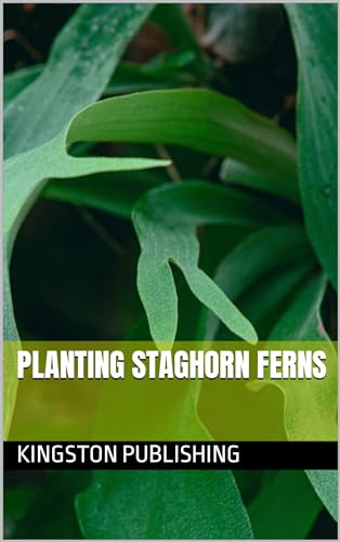 Planting Staghorn Ferns (Ornamental Plants) (English Edition)