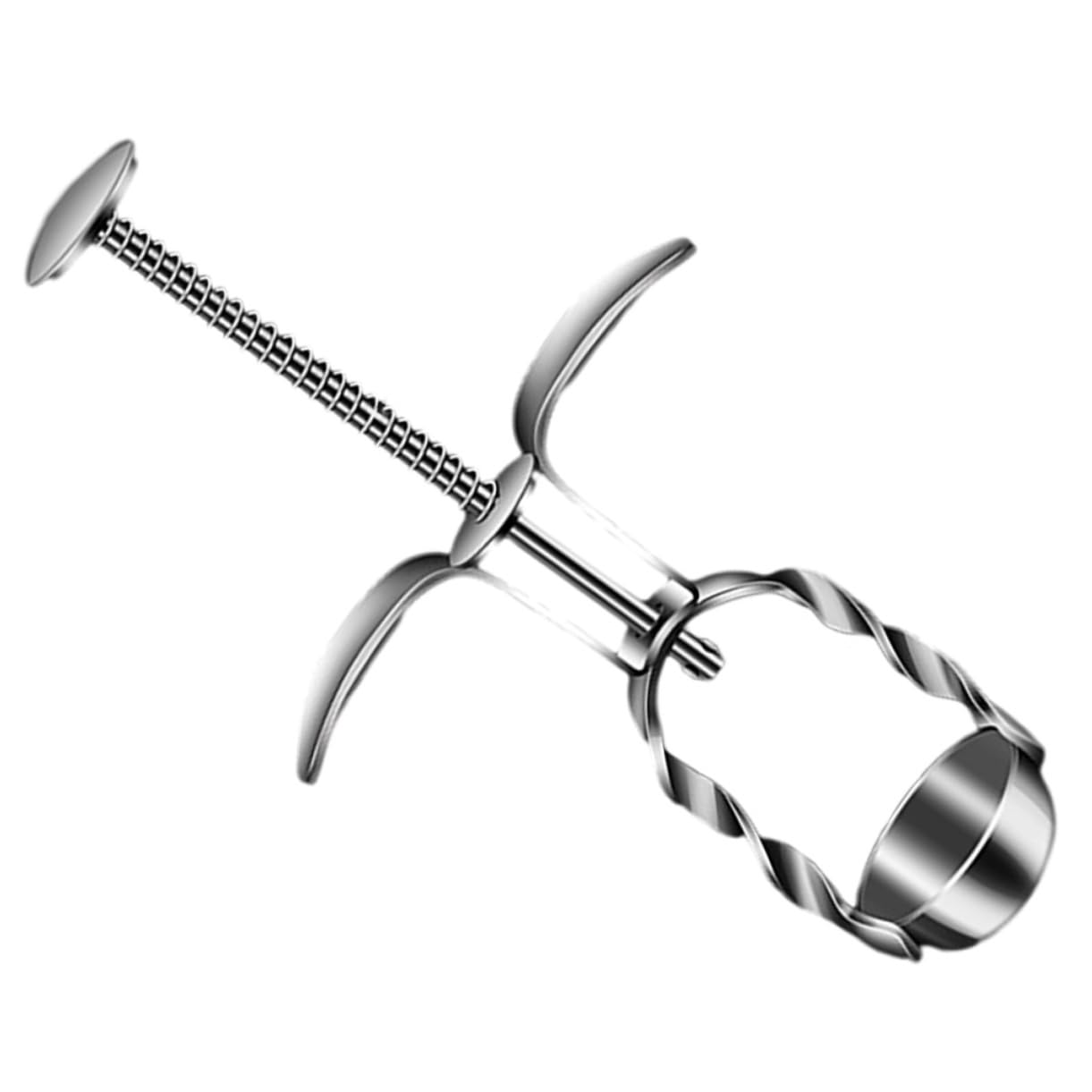 Gatuida 4stücke Cherry Pitter Entkerner Aus Effizientes Werkzeug Zum Entfernen Von Aus Kirschen Und Jujube Für Küche Leicht Und Tragbar