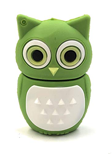 Clé USB 64 Go hibou oiseau vert, idée cadeau originale pour anniversaire