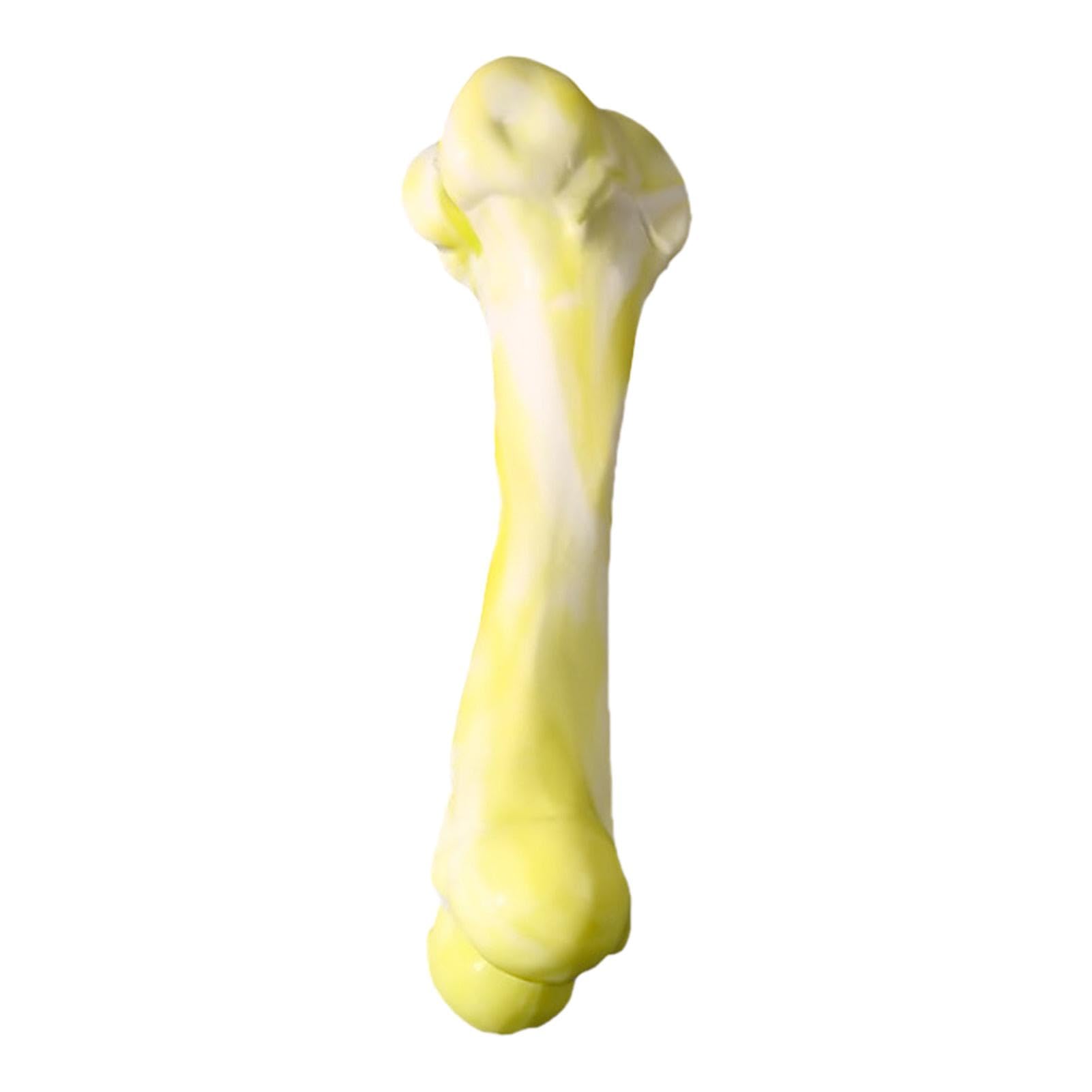 Amazon | Hozilen 犬のおもちゃの骨、犬の噛む骨のおもちゃ, 犬の骨の