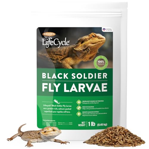 Black Soldier Fly Larvae, Bearded Dragon Food, Bugs for Reptiles, Worms for Geckos, Insect Protein, Baby Bearded Dragon Food, Made in USA (1 Pound (Pack of 1))