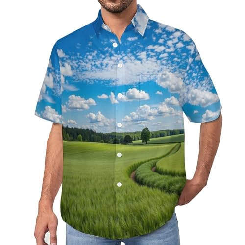 Camisa de estampado 3D para hombre verano playa casual estilo paisaje natural manga corta