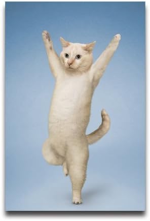 PONGO Yoga Cat Hang Your Arms Follow Me Hang Your Hands Poster Custom Poster