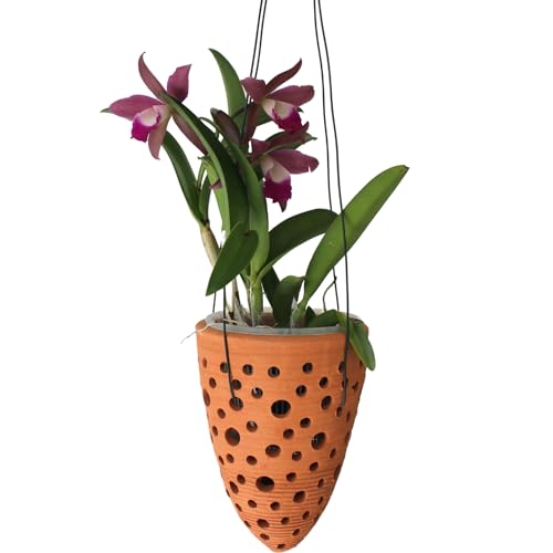 DESQUIGGLE Terracotta Rocket Shaped Orchid Pot with Holes for Small Plants Hanging Clay Orchid Planters for Outdoors
