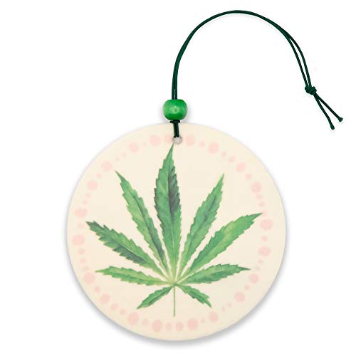 Top 10 Best Air Freshener For Weed Reviews & Buying Guide Katynel