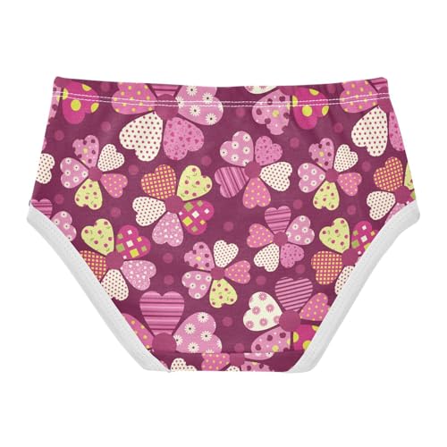Little Girl Underwear Toddler Panties Kids Undies Floral Colorful Soft Cotton Briefs 2T-8Y2