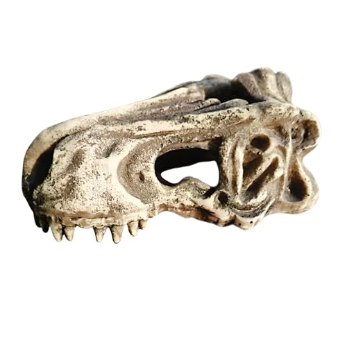 [koulaya]঒ރVF^[ Ai I[ig S݌v lȑiX^C B/p ϖ ێێ DҌ ΃V[Y10WJ TH 15500