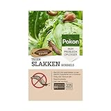 Pokon