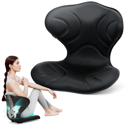 FHTWRR Professional Ergonomic Back Support for Office Chair...