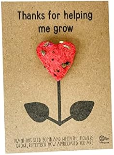 Thanks for helping me grow - Wildflower seed bomb heart shaped - Teacher Gift - DD2375 (Random Colour)