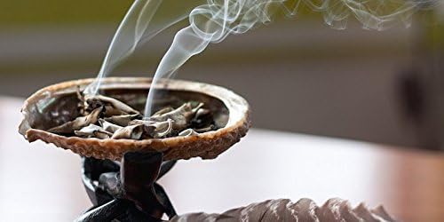 Miniatura 5 de BmoreSpicy.com Salvia blanca 20 - 750 Semillas Hierbas orgánicas Salvia Apiana Rara Perenne (750)