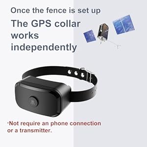 Gf02 plus  customizable gps dog fence with remote training no subscription required set up boundary in 1 minute with app waterproof gps dog collar system long battery life   cucciolini doodles
