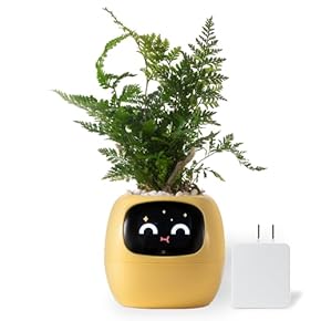 Amazon.co.jp: プランター - 鉢・プランター用品: DIY・工具