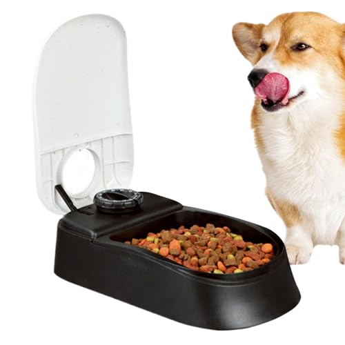 Cat food dispenser programable y comedero automático mascotas pequeñas de comida húmeda 2