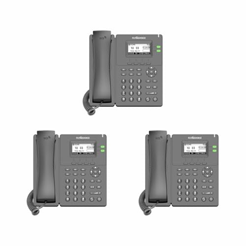 FLYINGVOICE P20P VoIP Phone, Built-in 2.4GHz WiFi, AP & WiFi to LAN, USB 2.0 Port, IP Phone for Business, Dual 10/100 Mbps Ethernet Ports, 2 SIP Accounts, Power Supply Included (3 Bundle)