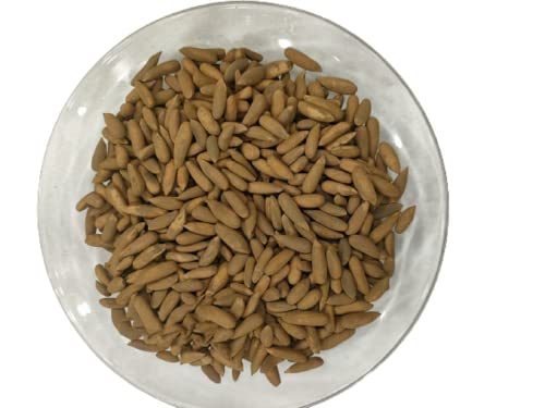 Pine Nuts In Shells- Chilgoza - premium Quality, Fresh Pine nuts (150)