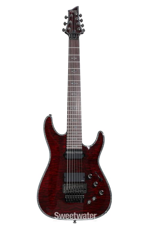 Amazon.com: Schecter Hellraiser C-7 with Floyd Rose and Sustainiac