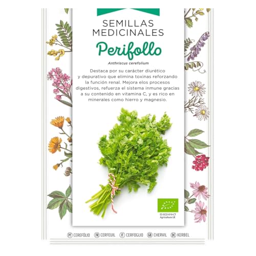 Semillas Medicinales - Perifollo - Semillas listas para plantar.