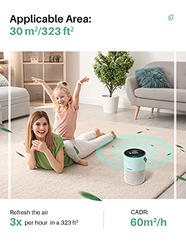 https://m.media-amazon.com/images/I/410n5DzzfmL._SL500_.jpg