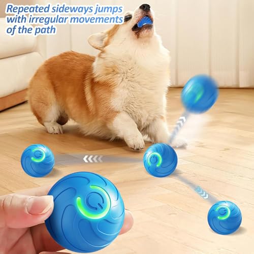 Bälle Spielzeug für Welpen, interaktives Hundespielzeug Ball, automatisches Rollspielzeug für Katze, USB wiederaufladbar, aktiviert, automatische Bewegung, Hundebälle Spielzeug mit LED-Blitz