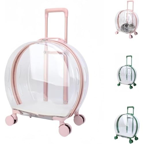 Joxoilso LX[cP[X LX^[t ybgJ[geʃybgg[{bNX  |[^uL obO Oo ybg |[^uou{bNX pX[cP[X  Lp ʋC U s ʉ@ hЗp s Oo y  (sN