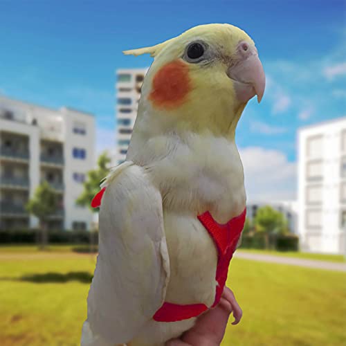 Verstelbaar tuigje voor papegaai, huisdier, vogel, tuigje, lijn, trainingslijn voor buiten vliegen, antibijt, elastische lijn voor vogel, papegaai, kaketoe, ara (rood, XS) - Image 8