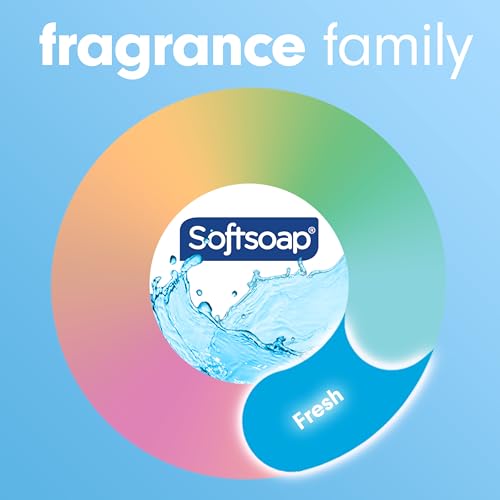 Softsoap Clean & Protect Antibacterial Liquid Hand Soap, Cool Splash Hand Soap, 11.25 Ounce, 6 Pack