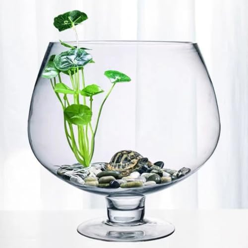 Image of BESPORTBLE Glass Fish Bowl Vase - Clear Bubble Planter Terrarium Fish Bowl Wine Goblet Shaped Vase Transparent Hydroponic Bulb Floral Container